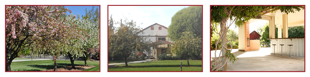 Wedding Venue
